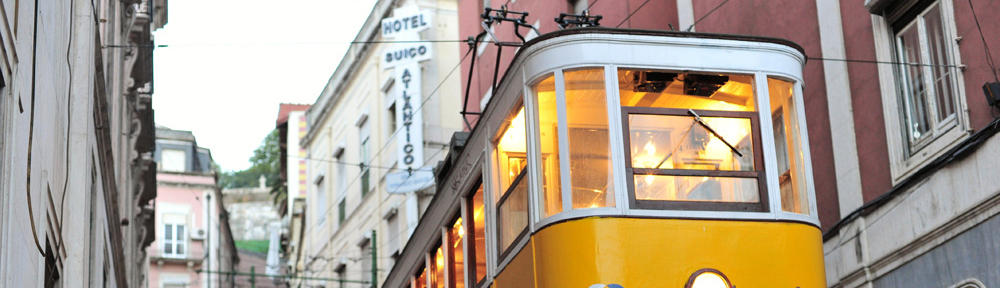 My Little Adult Shop